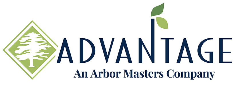 Advantage Tree by Arbor Masters